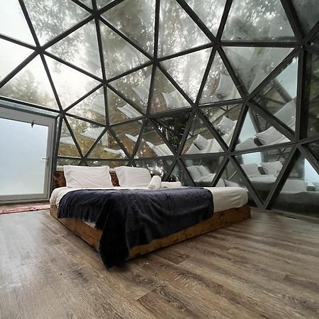 Willa Quinta Do Abacate - Glamping Park Angra do Heroísmo Zewnętrze zdjęcie