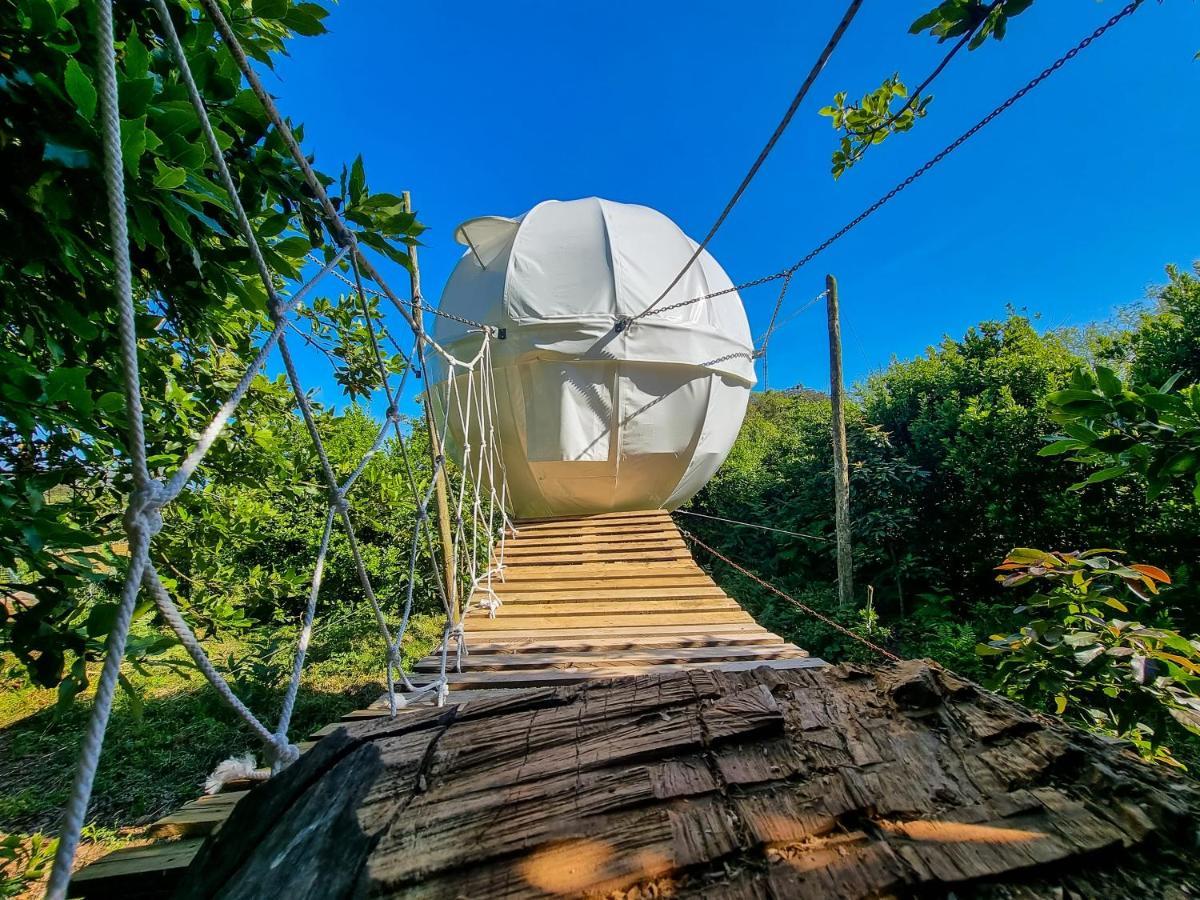 Willa Quinta Do Abacate - Glamping Park Angra do Heroísmo Zewnętrze zdjęcie