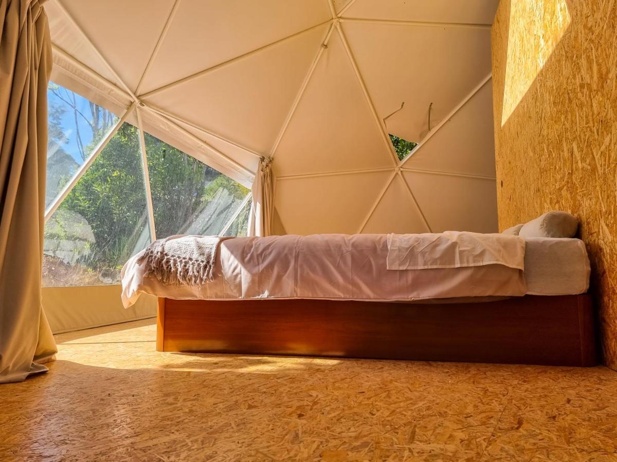Willa Quinta Do Abacate - Glamping Park Angra do Heroísmo Zewnętrze zdjęcie
