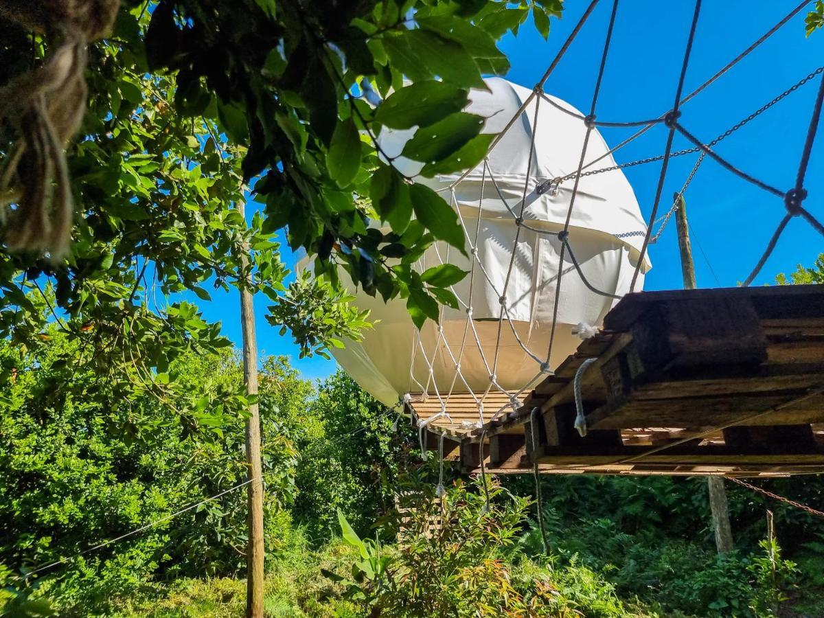 Willa Quinta Do Abacate - Glamping Park Angra do Heroísmo Zewnętrze zdjęcie