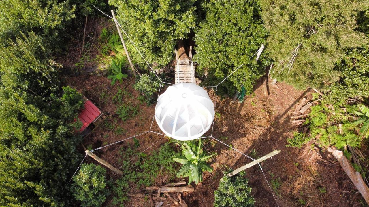 Willa Quinta Do Abacate - Glamping Park Angra do Heroísmo Zewnętrze zdjęcie