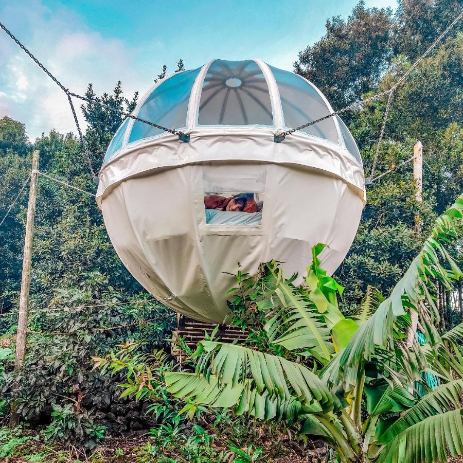 Willa Quinta Do Abacate - Glamping Park Angra do Heroísmo Zewnętrze zdjęcie